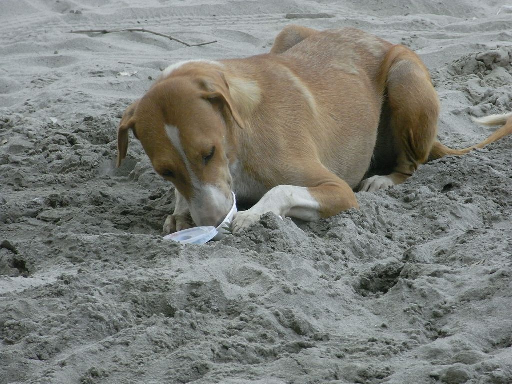 The lid comes off easily